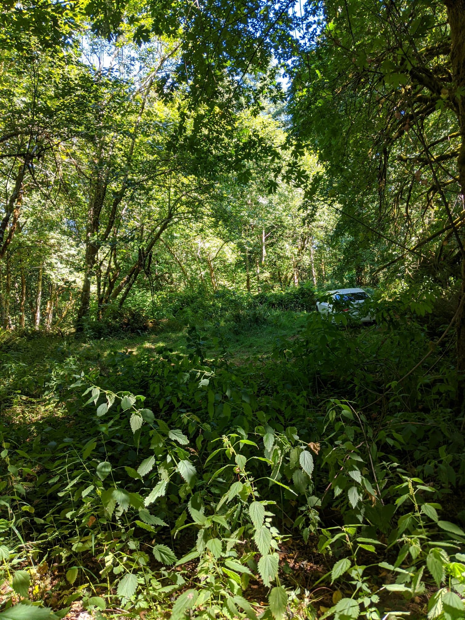 The end of the road at the Coasis